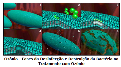 Foto 1 – Bactéria sadia; Foto 2 – Parede celular da Bactéria sendo atacada pelo Ozônio; Foto 3 – Oxidação da Parede celular da bactéria; Fotos 4, 5 e 6 – Ruptura e destruição da bactéria.