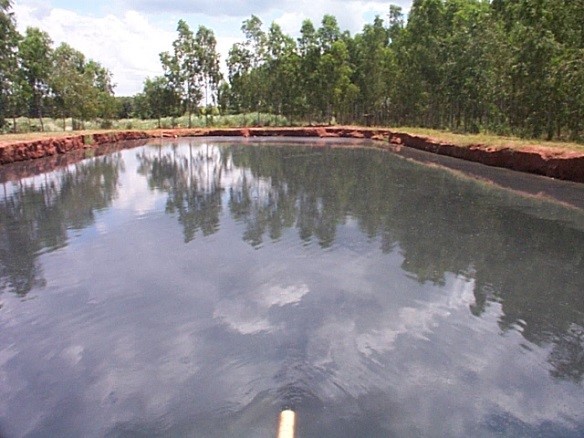 Indústria Farinha de Milho com lagoa contaminada depois do uso de microrganismos para descontaminação