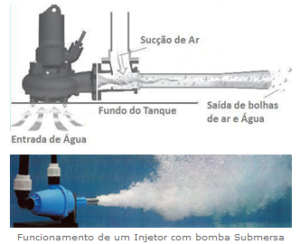 Extração de Poluentes com Aplicação de Microbolhas através de venturi