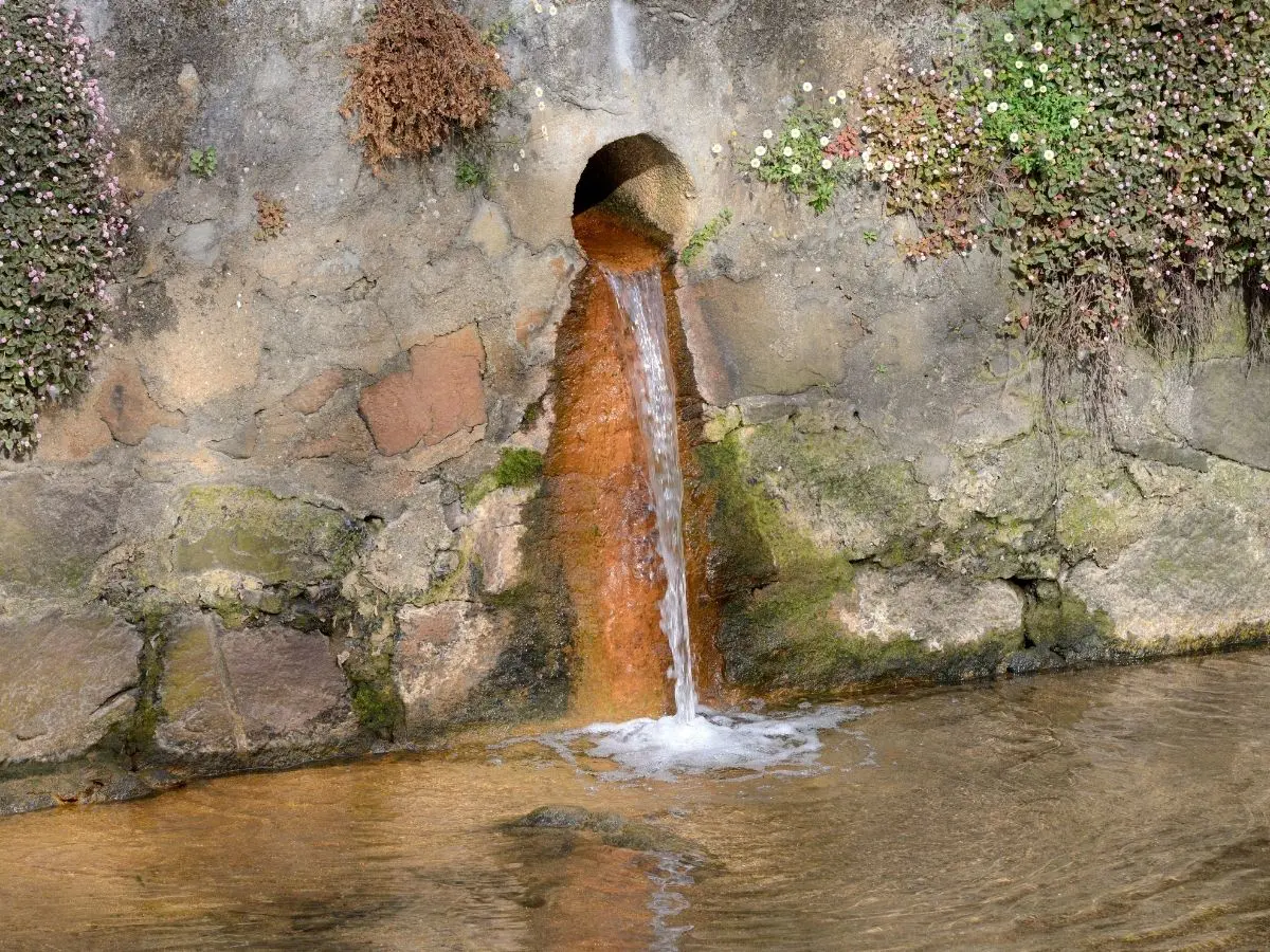 Lodo de Esgoto