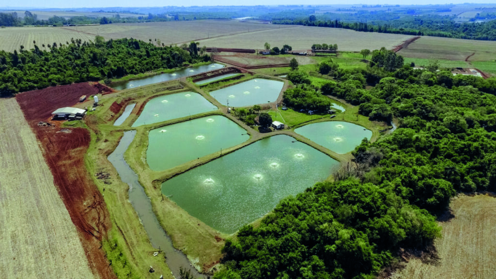 Tanques de Aquicultura