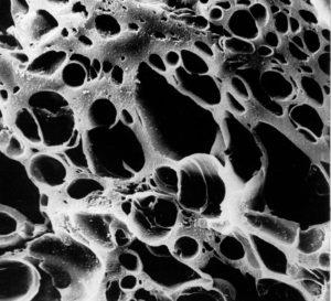 Porosidade do Carvão Ativado vista do Microscópio